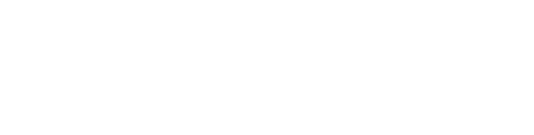 EagleOwl Logo